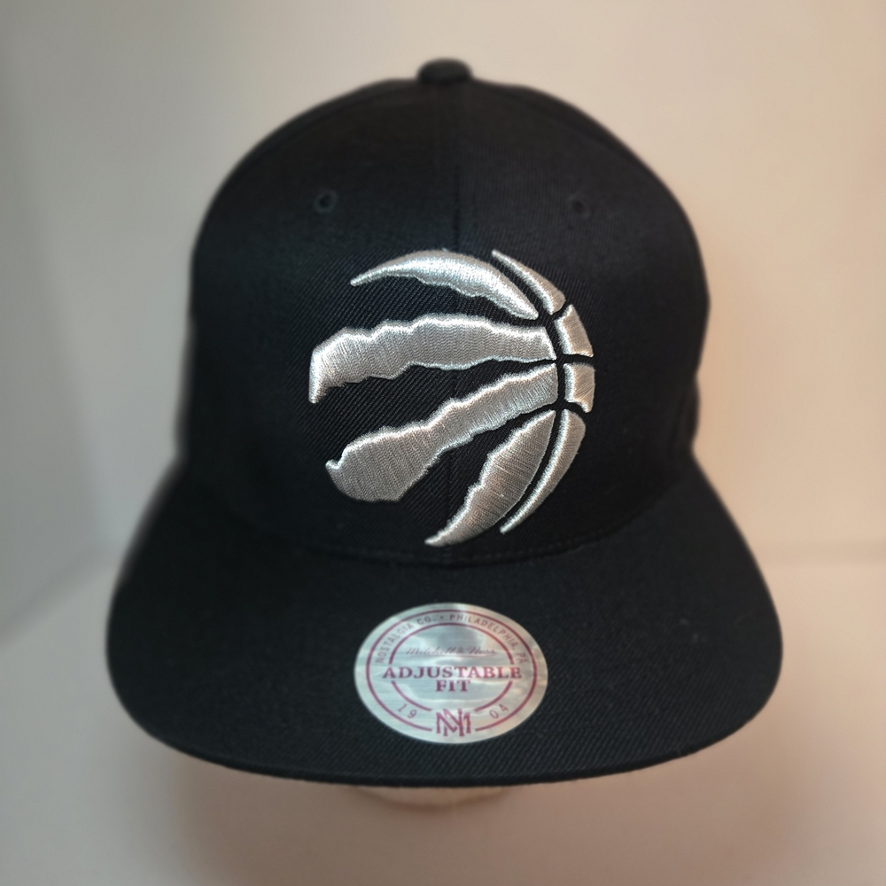 Toronto Raptors Snapback Hat
